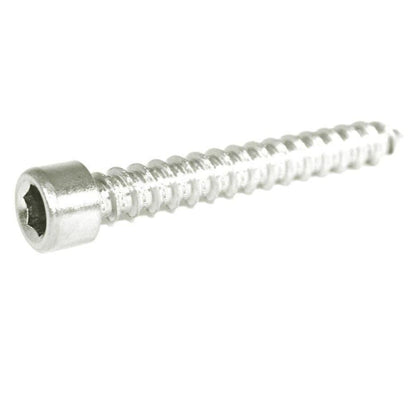ZSPEC M6x40mm Coarse Socket-Cap SHSC Fasteners, Stainless, 10-Pack - Howling Moto
