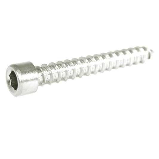 ZSPEC M6x40mm Coarse Socket-Cap SHSC Fasteners, Stainless, 10-Pack - Howling Moto