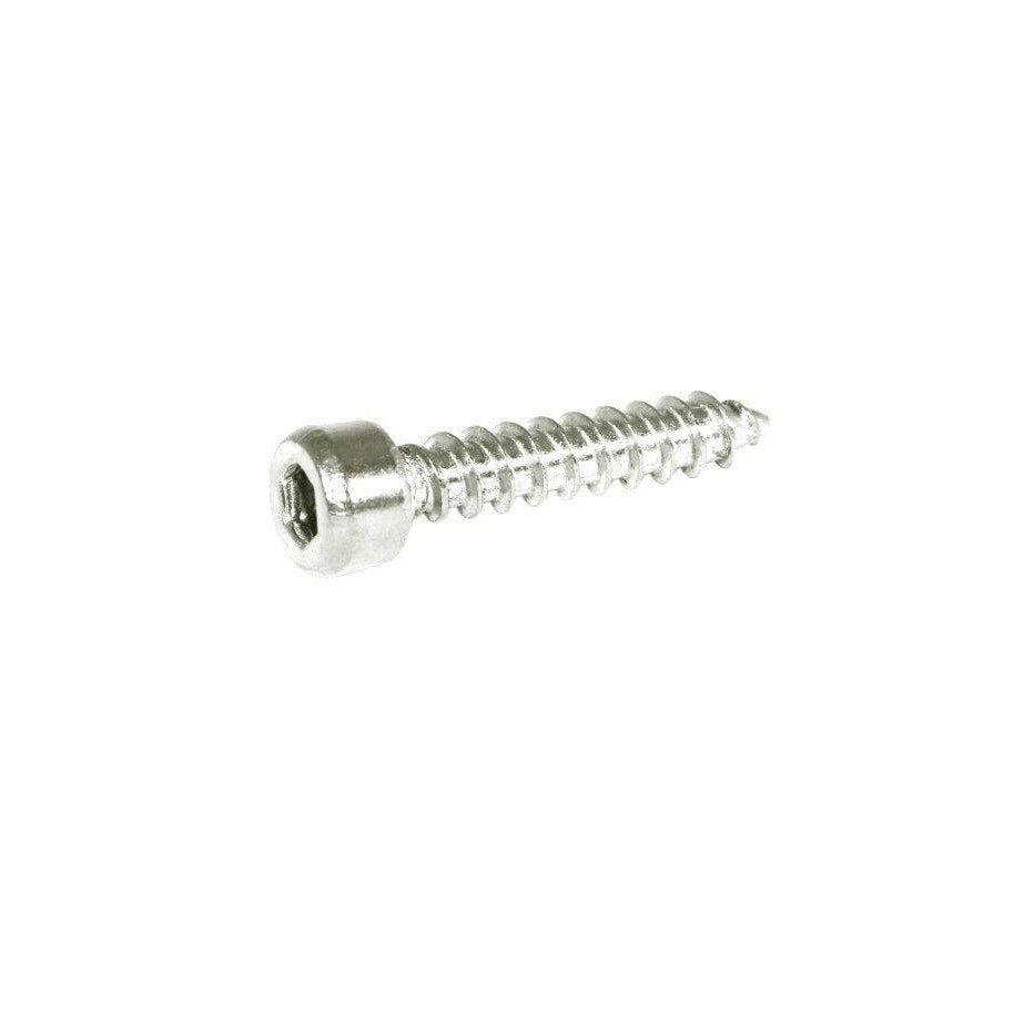 ZSPEC M4x20mm Coarse Socket-Cap SHSC Fasteners, Stainless, 10-Pack - Howling Moto