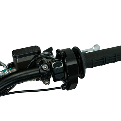 Arctic Leopard XE PRO R
