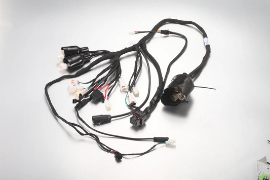 E Ride Pro S/SS 2.0/3.0 Main Wire Harness