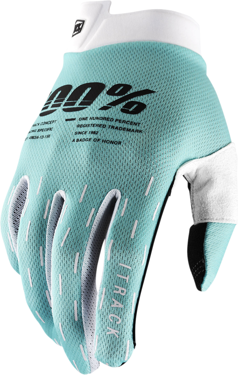 Bill's Exhausts 100% iTrack Aqua gloves in large size, showing the waterproof, durable gloves designed for outdoor activities.