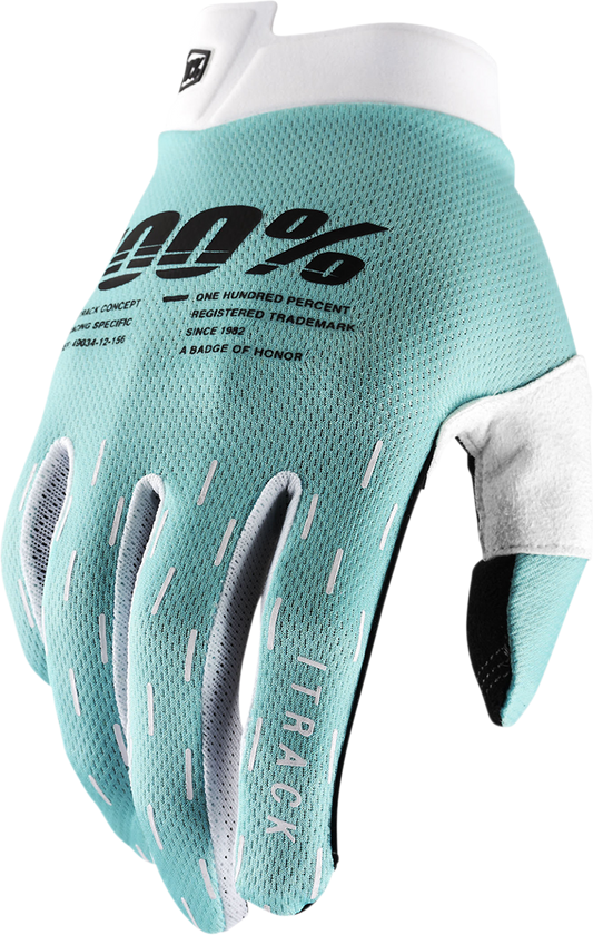 Bill's Exhausts 100% iTrack Aqua gloves in large size, showing the waterproof, durable gloves designed for outdoor activities.