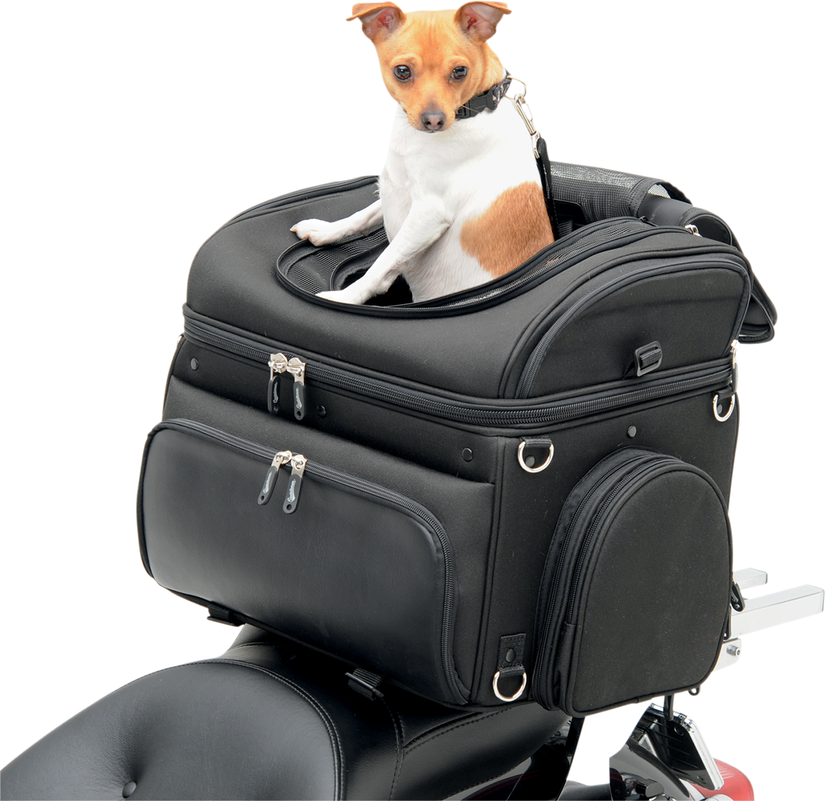 Bill's Exhausts SADDLEMEN Pet Voyager motorcycle seat in black, showcasing its comfortable design and durable construction.