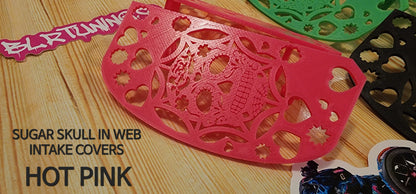 CAN-AM RYKER SUGAR SKULL IN WEB INTAKE COVERS - Howling Moto