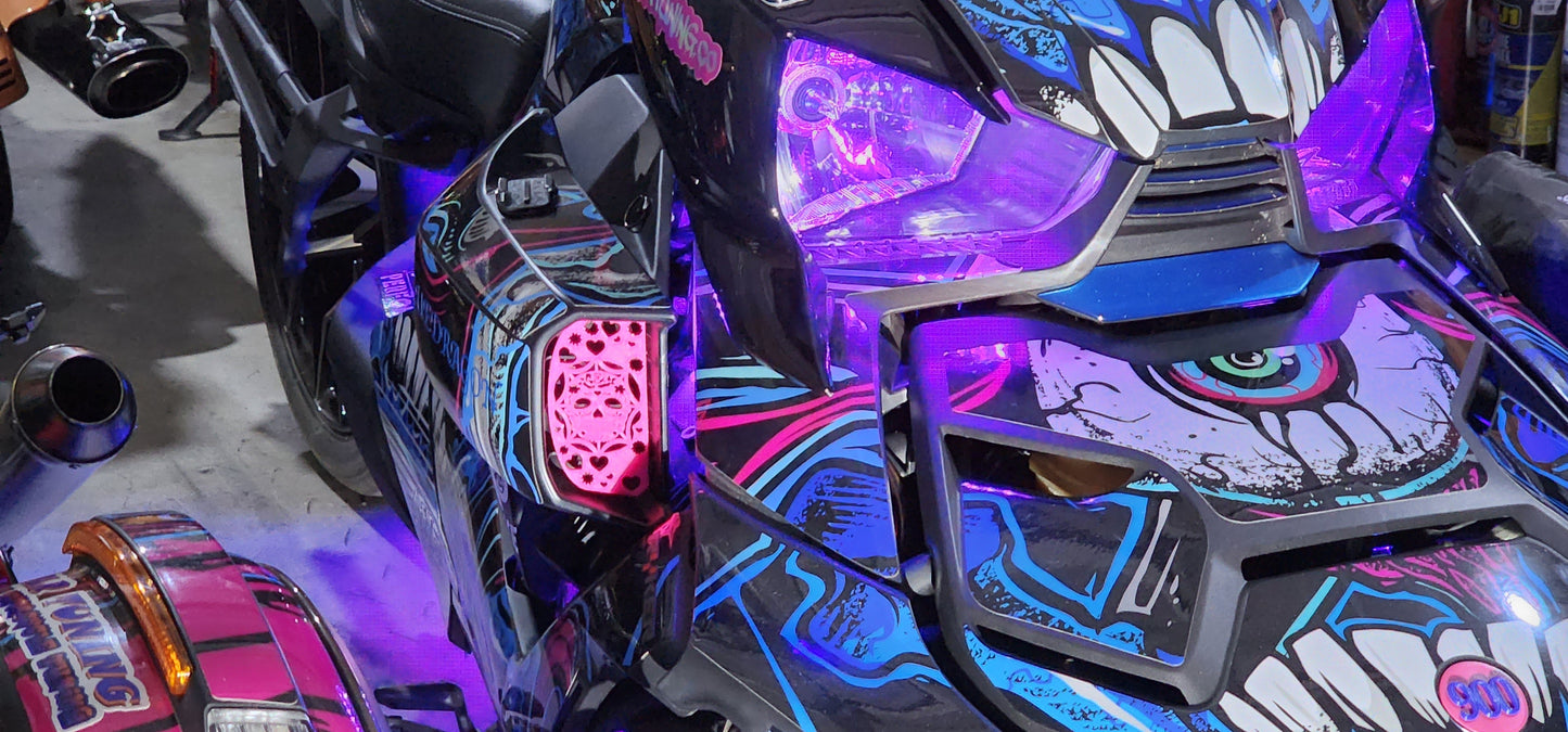 CAN-AM RYKER SUGAR SKULL IN WEB INTAKE COVERS - Howling Moto