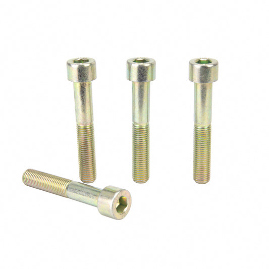 Brembo M10x1.25x60mm Screw Kit - Howling Moto