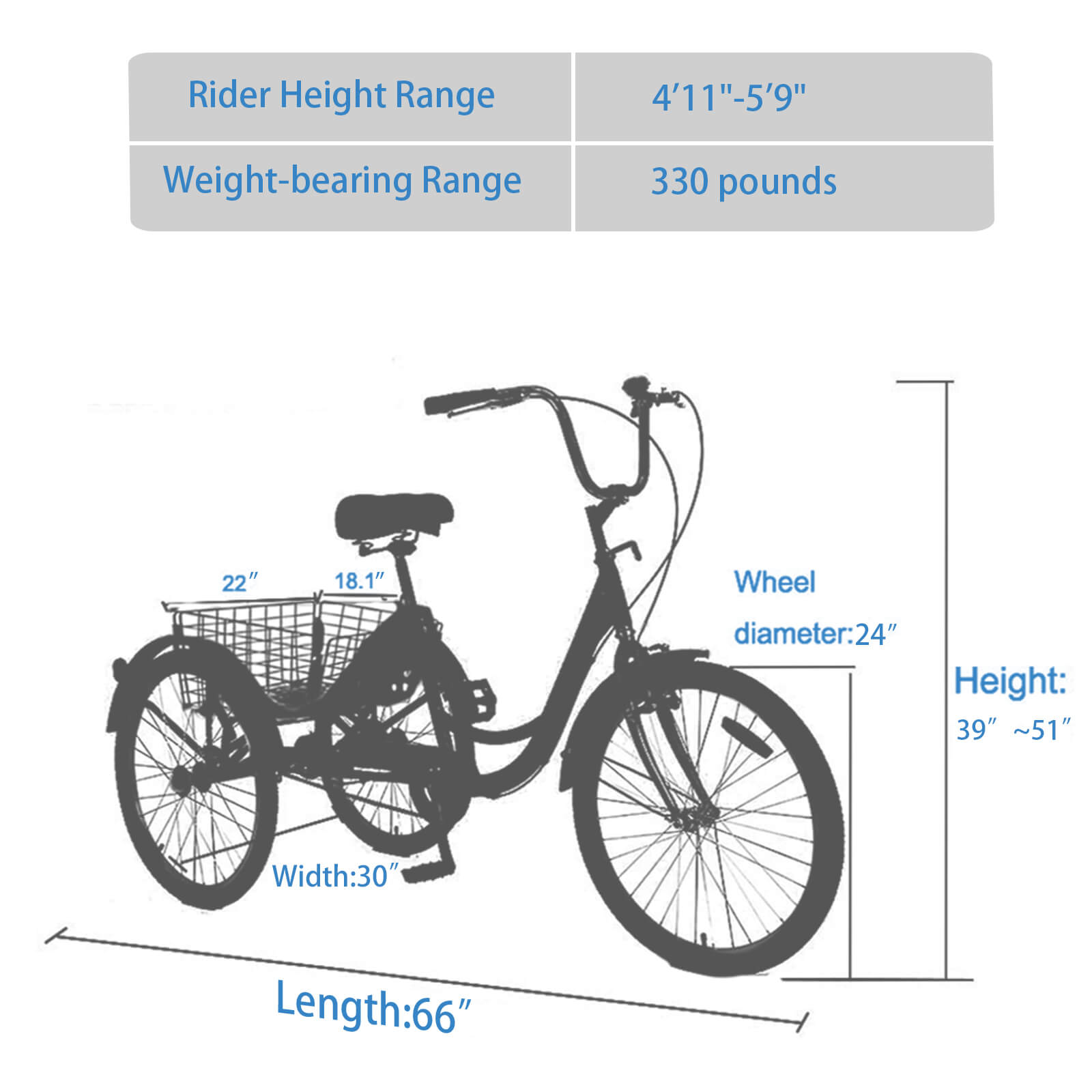 Hycline Knus Virbus 24-inch single-speed adult tricycle with a sturdy frame, three wheels, and a comfortable seat.