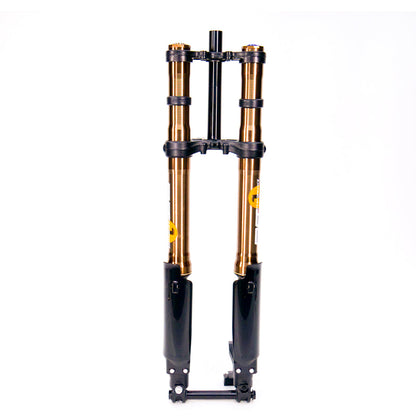 FastAce ALX13RC 2.0 Front Fork - Howling Moto