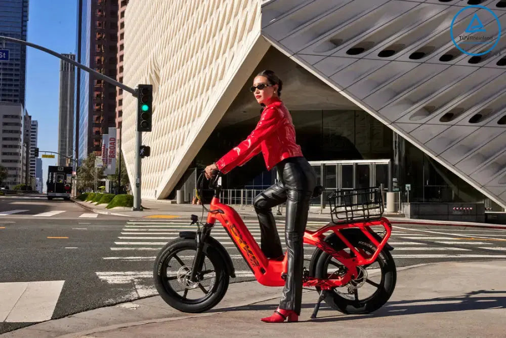 COLLIE CARGO EBIKE - Howling Moto