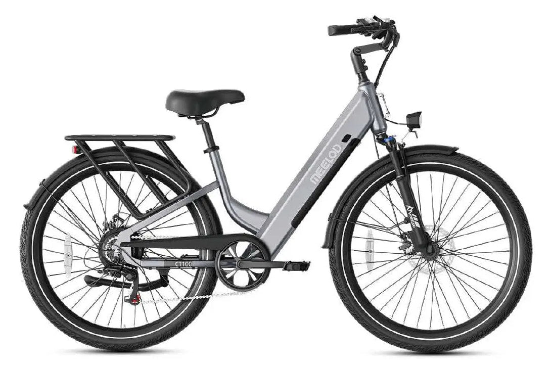 CT 100 | City Cruiser