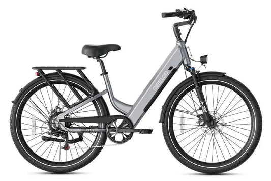 CT 100 | City Cruiser