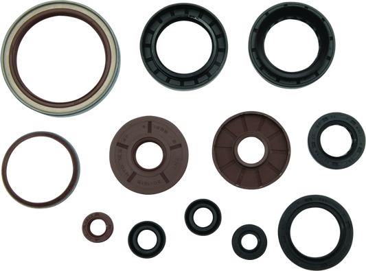 QuadBoss Arctic Cat 1000 TRV oil seal set with engine and transmission seals for 2009-2015 models, complete seal kit.