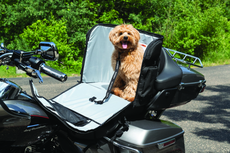 Kuryakyn Pet Palace Titan motorcycle dog and cat carrier crate with weather-resistant and heat-reducing features, durable and secure.