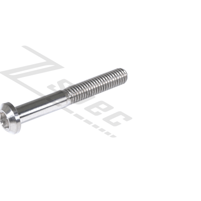 ZSPEC M6-1.0x45mm Dress Up Bolt® Fastener, Angled Head, Titanium Grade-5, Per Each - Howling Moto