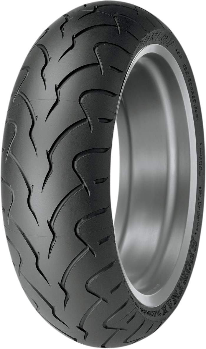 Dunlop D207 ZR rear motorcycle tire for Harley-Davidson V-Rod and Street Rod, 180/55ZR18, with tread pattern visible