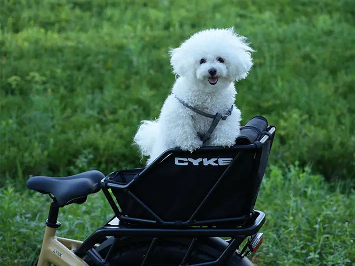 CYKE Rear Rack Basket - Howling Moto