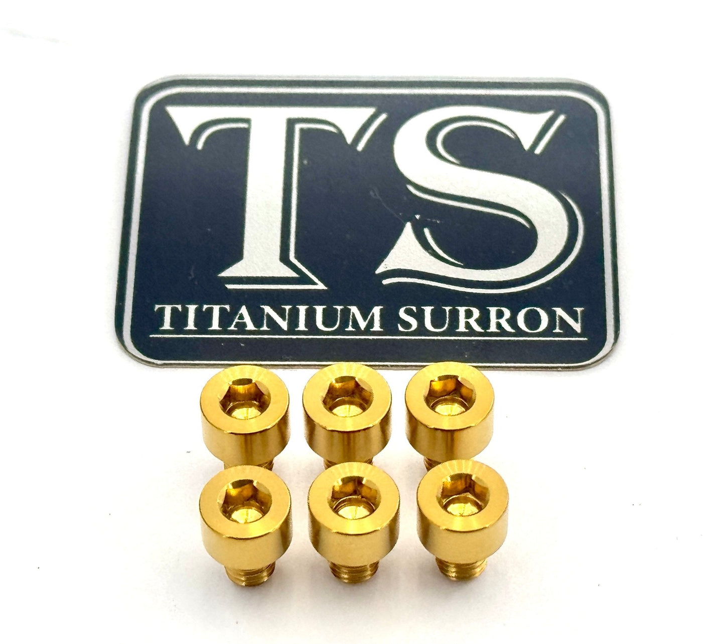 EBMX X9000 Heat Sink Titanium Bolt Kits (6) - Howling Moto