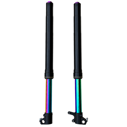 ETM RTR "Oil Slick" Forks