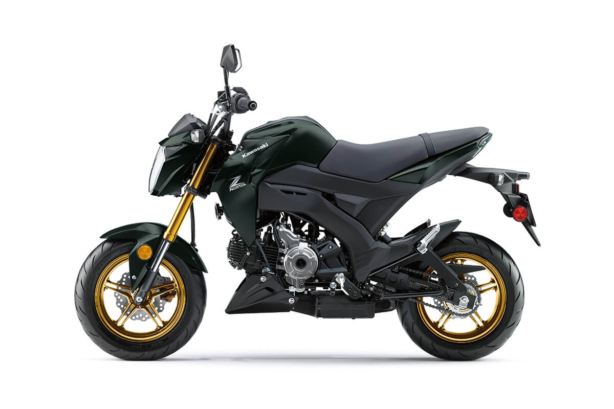 Kawasaki Color Conversion Z125 2017-2025