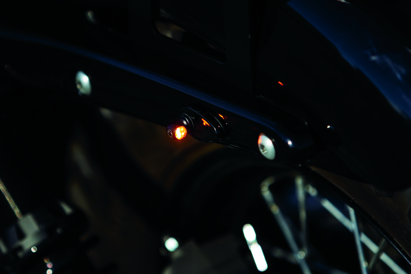 Kuryakyn Fender Strut Cover Plates for Harley-Davidson motorcycles, shown installed on the rear wheel area.