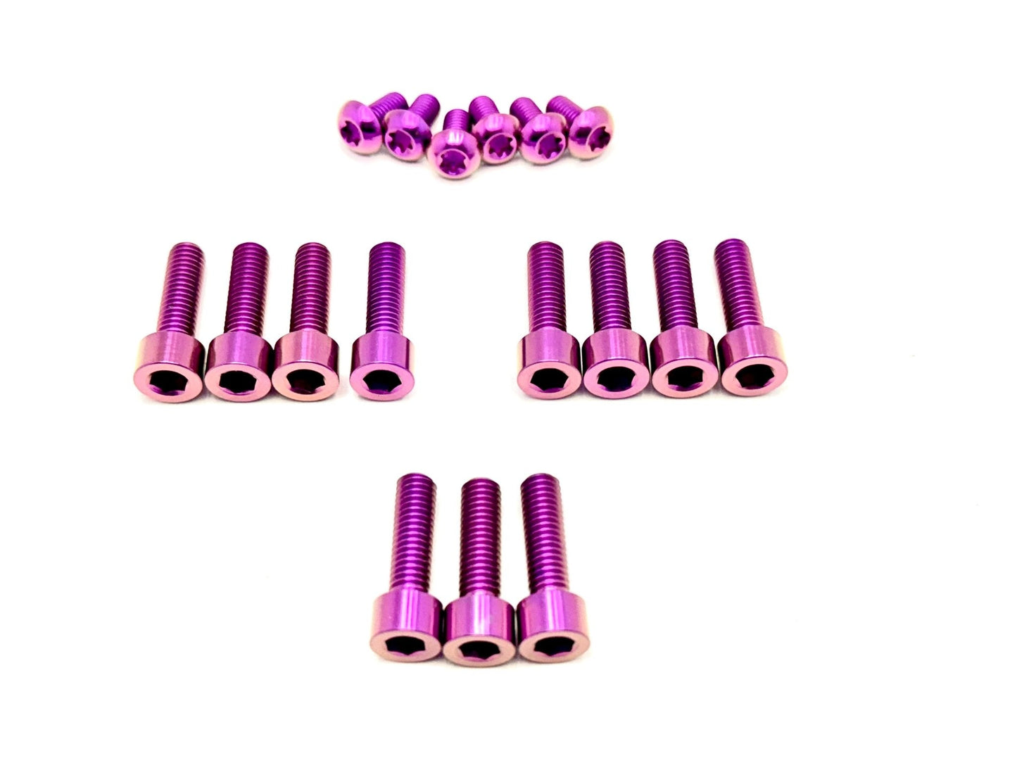 Titanium FastAce Fork Bolt Kits (17 pcs) ALX13RC (2.0) and AHX12RV (3.0)