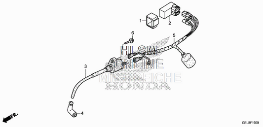 Honda XR/CRf50 Wire Harness - Howling Moto