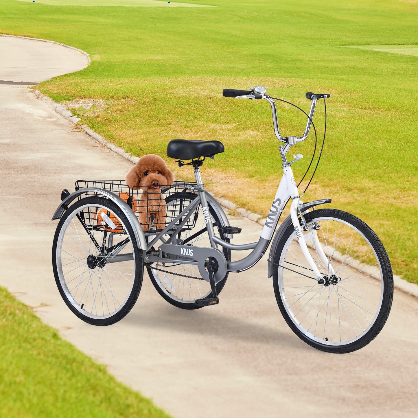 Knus Virbus 26“ Single-Speed Tricycle For Adults - Howling Moto
