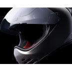 Icon Domain™ Cornelius Helmet - Howling Moto