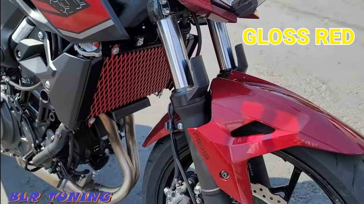 KAWASAKI Z400 & NINJA 400 Radiator Protective Grill - Howling Moto