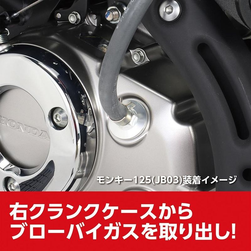 KITACO Carbon Oil Catch Tank Kit for 2022+ Honda Grom and Monkey - Howling Moto