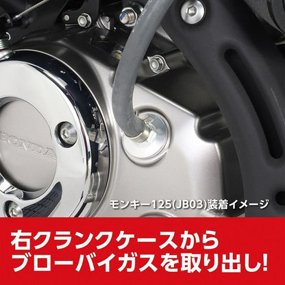 KITACO Carbon Oil Catch Tank Kit for 2022+ Honda Grom and Monkey - Howling Moto