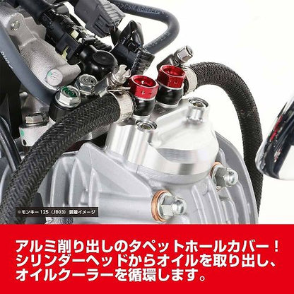 Kitaco New Super Oil Cooler Kit - Howling Moto