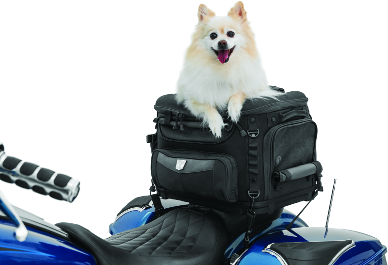 Kuryakyn Grand Pet Palace motorcycle pet carrier in black with ventilation openings and secure latch, designed for motorcycle pets.