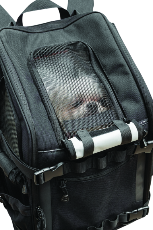Kuryakyn Pet Palace Ruff-Pack durable backpack pet carrier with mesh ventilation for small pets up to 15 lbs, designed for outdoor adventures.