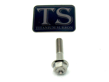 Altis Sigma Gearbox Cover Titanium Bolt Kit - Howling Moto