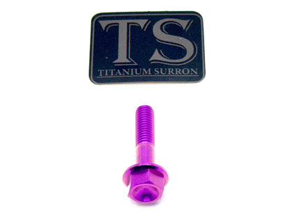Altis Sigma Gearbox Cover Titanium Bolt Kit - Howling Moto