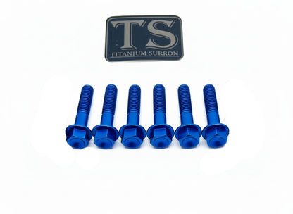 Altis Sigma Gearbox Cover Titanium Bolt Kit - Howling Moto