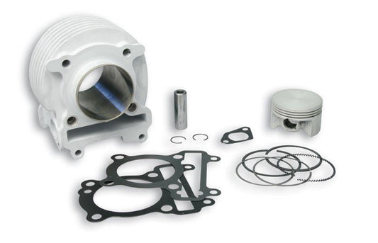 Malossi 158cc big bore kit for Zuma 125 - Howling Moto
