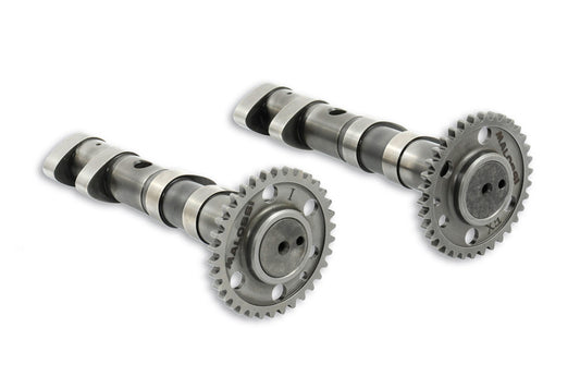 Malossi POWER CAM for Yamaha T-MAX - Howling Moto
