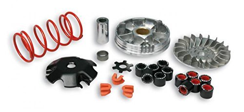 Malossi Zuma / Jog Overrange MHR Variator - Howling Moto