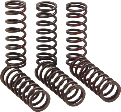 Pro Circuit clutch springs for Honda CRF 450R motorcycle, showing the coiled steel springs in a close-up view.