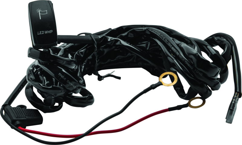 QuadBoss Qb Whip wire harness with Carling-style rocker switch for LED lighted whips, showing the switch and wiring components.