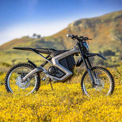 Rawrr Mantis 72V - Howling Moto