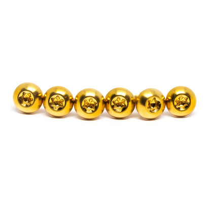 Titanium Rear Rotor Bolts (6 Pack) for Sur-Ron, E-Ride PRO & Talaria - Howling Moto