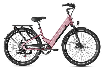 CT 100 | City Cruiser