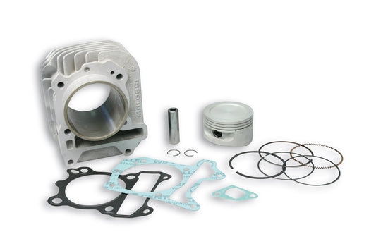 Malossi 190cc Big bore kit for Vespa LX150 - Howling Moto