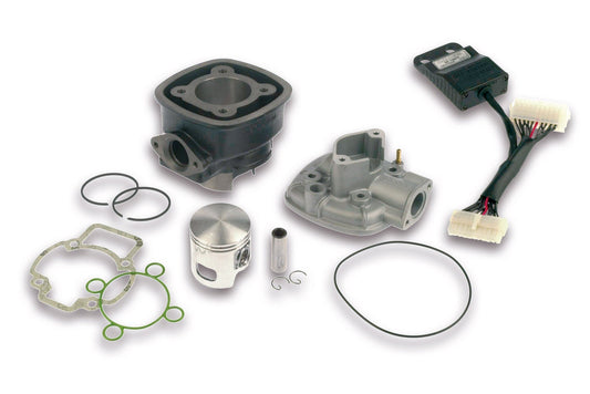 Malossi Cylinder for SR50 Factory DiTech - Howling Moto