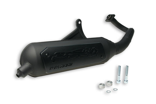 Malossi Wild lion Exhaust Piaggio - Howling Moto