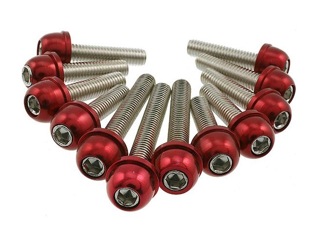 Anodized transmission case bolts - Howling Moto